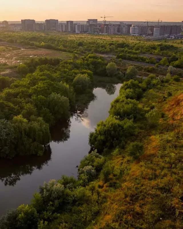 Valea Saulei devine arie naturală protejată în București