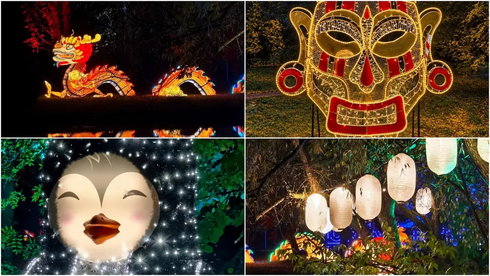 Decoruri de Halloween și program prelungit la Lumina Park din Grădina Botanică
