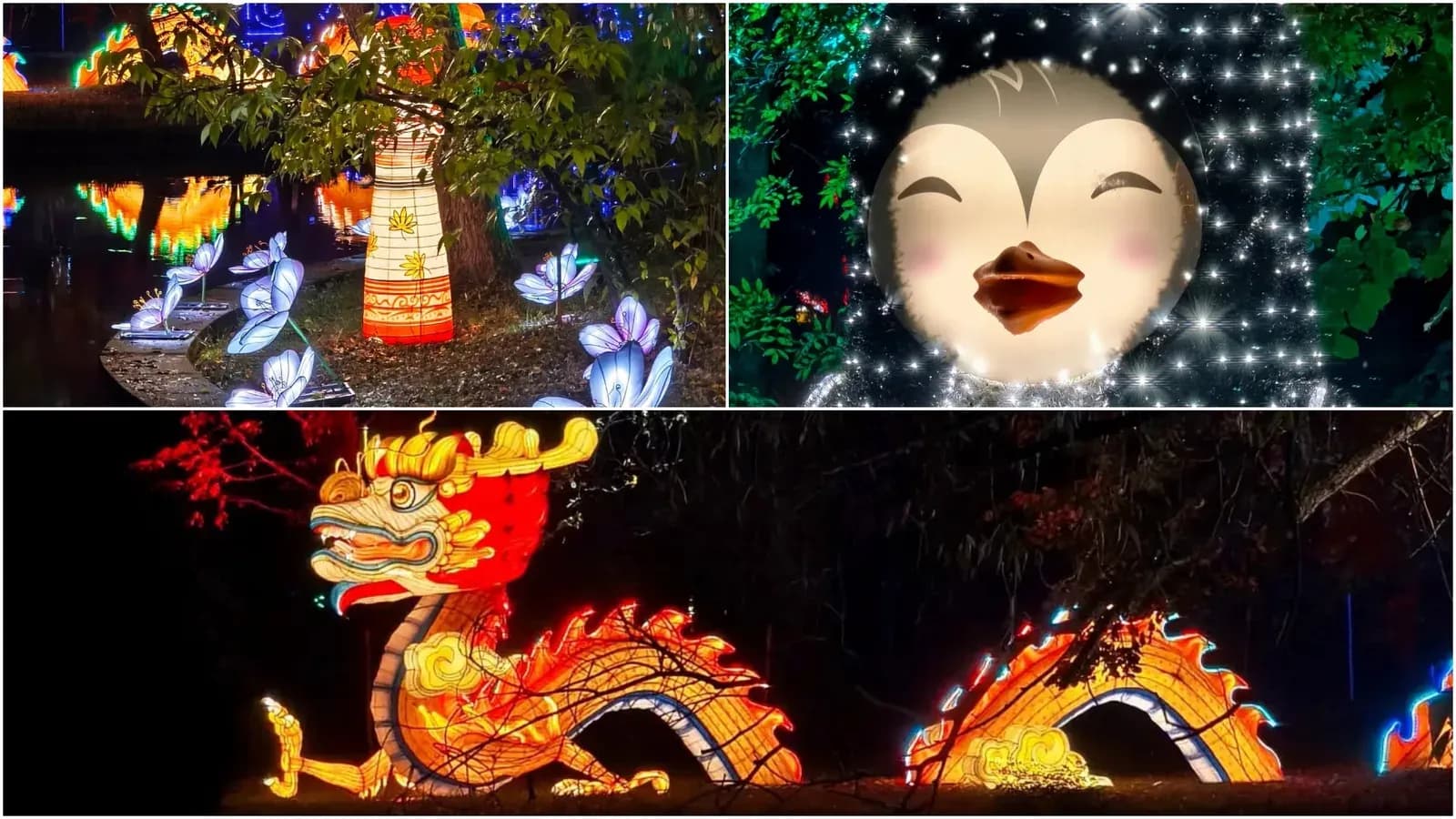 Ateliere tematice și program prelungit de Halloween la Lumina Park din Grădina Botanică