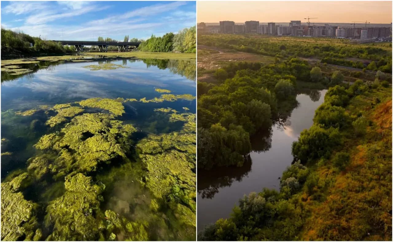 Valea Saulei a devenit a treia arie naturală protejată din București
